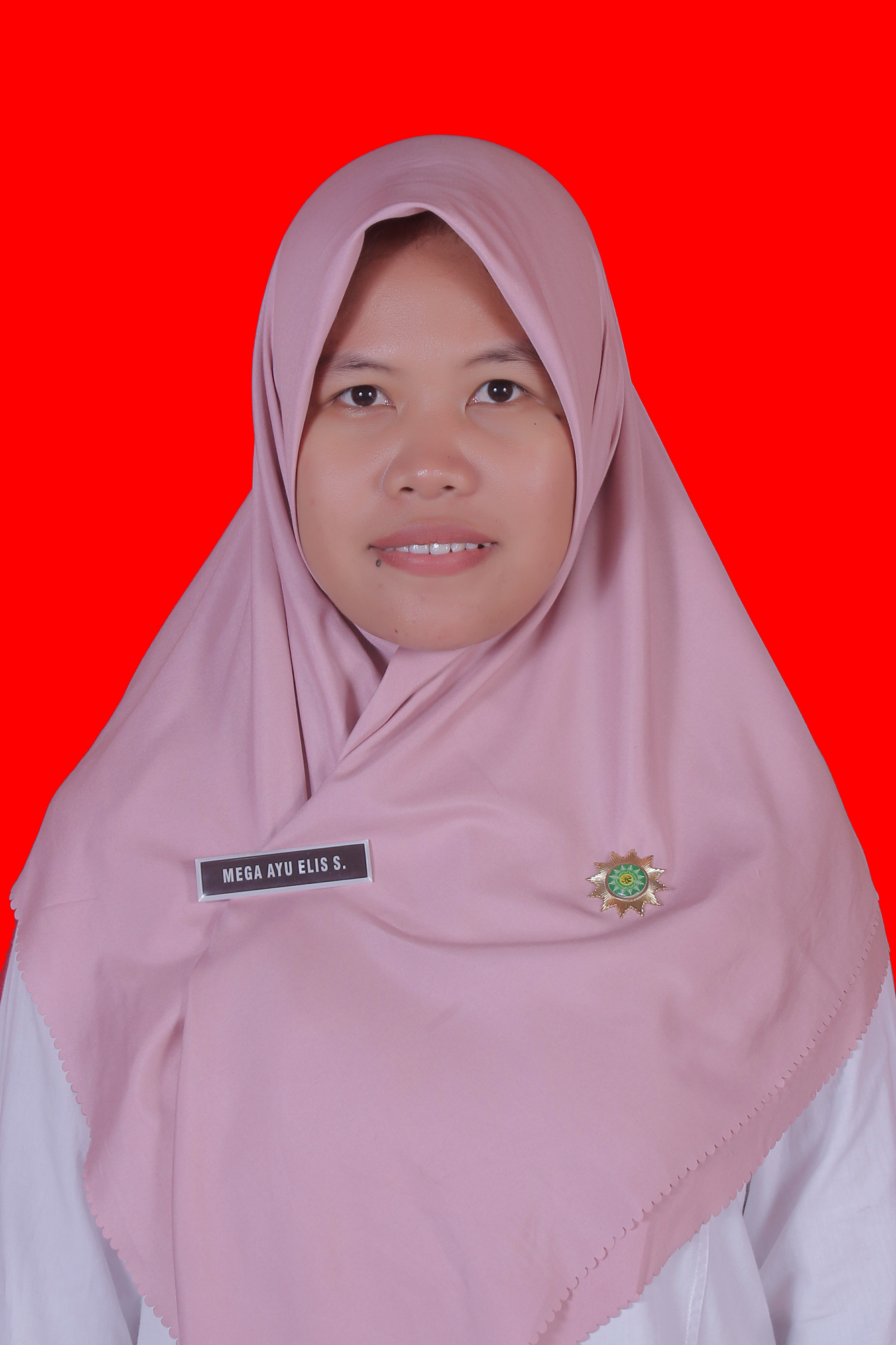 Mega Ayu Elis Safitri, S.Pd.